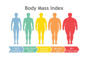 Navigating Health through BMI Insights