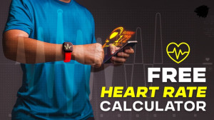 Heart Rate Insights: Monitoring Cardiovascular Well-Being with Precision