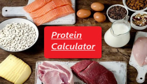 Role of Protein Intake in a Healthy Lifestyle