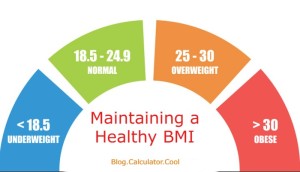 Why Maintaining a Healthy BMI is Necessary for Overall Well Being